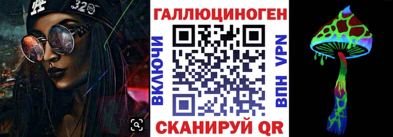 Купить где  Слободской  Галлюциногенные грибы GOLDEN TEACHER 